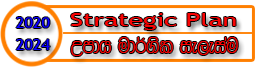 strategic Plan